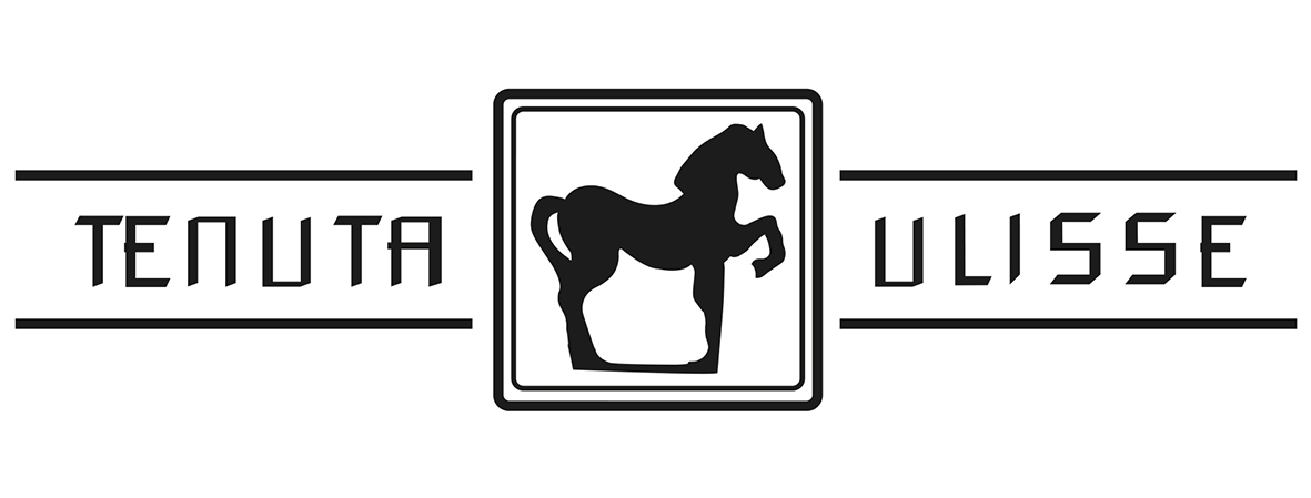 10 Vendemmie Limited Edition Bianco 7° Rilascio sa