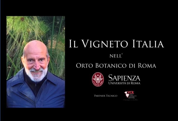 Vigneto Italia, Roma di nuovo caput mundi del vino